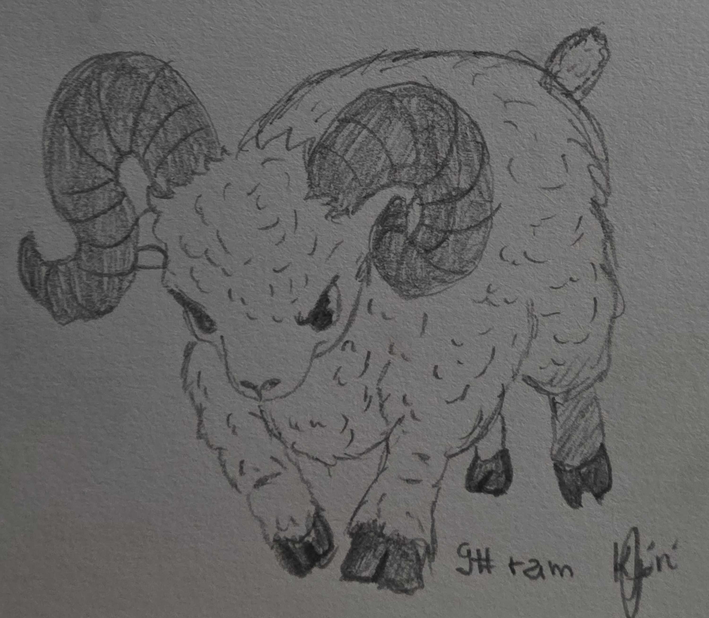 Inktober 2026 Day 09 Ram black-and-white illustration